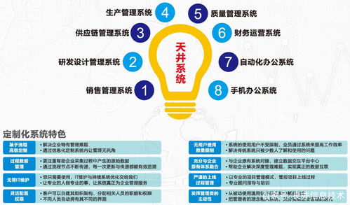定制化企業(yè)管理軟件 提升效率與競爭力的智能選擇
